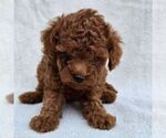 Image preview for Ad Listing. Nickname: Gloria