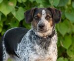 Small #2 Breeder Profile image