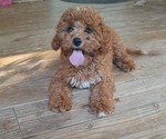 Image preview for Ad Listing. Nickname: Chase