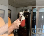 Image preview for Ad Listing. Nickname: Male B