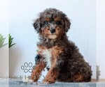 Image preview for Ad Listing. Nickname: Carley