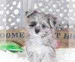 Image preview for Ad Listing. Nickname: Sapphire