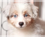 Image preview for Ad Listing. Nickname: Patsy