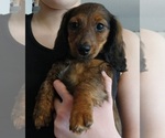 Image preview for Ad Listing. Nickname: Mia
