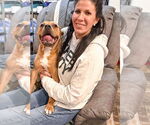 Small #11 Bullboxer Pit