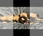 Image preview for Ad Listing. Nickname: Green