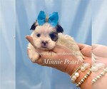 Image preview for Ad Listing. Nickname: Pearl