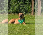 Small #6 Mastador