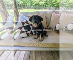 Image preview for Ad Listing. Nickname: Gilbert