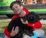 Small Photo #32 Black Russian Terrier Puppy For Sale in S CHARLESTON, WV, USA