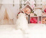 Small Photo #10 Bichon Frise Puppy For Sale in WARSAW, IN, USA