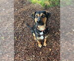Small #2 Mutt