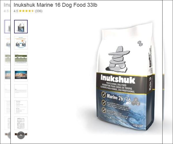 Medium Photo #7 Great Pyrenees Puppy For Sale in Houston, TX, USA