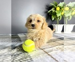 Image preview for Ad Listing. Nickname: Graham