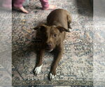 Small #9 Mutt