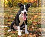 Small #3 Breeder Profile image