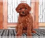 Image preview for Ad Listing. Nickname: Ann