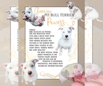 Puppy Princess American Pit Bull Terrier