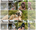 Image preview for Ad Listing. Nickname: Boys and Girls