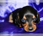 Image preview for Ad Listing. Nickname: Calypso