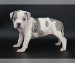 Image preview for Ad Listing. Nickname: Azalea