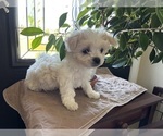 Image preview for Ad Listing. Nickname: Cutie