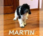 Image preview for Ad Listing. Nickname: Martin