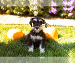 Image preview for Ad Listing. Nickname: Chelsey