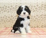Image preview for Ad Listing. Nickname: JJ
