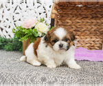 Image preview for Ad Listing. Nickname: Italy