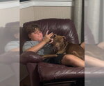 Small #5 Mutt