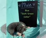 Image preview for Ad Listing. Nickname: Dark green
