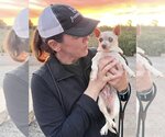 Small #1 Chihuahua