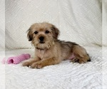 Image preview for Ad Listing. Nickname: Sydney