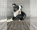 Image preview for Ad Listing. Nickname: Female