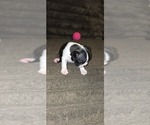 Image preview for Ad Listing. Nickname: Mayley