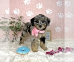 Image preview for Ad Listing. Nickname: Bella
