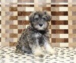 Image preview for Ad Listing. Nickname: Ernie