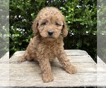 Image preview for Ad Listing. Nickname: Zayla