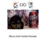 Image preview for Ad Listing. Nickname: Cici