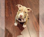 Small #3 Breeder Profile image