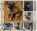 Small #3 Breeder Profile image