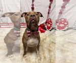 Small #1 Breeder Profile image