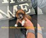 Image preview for Ad Listing. Nickname: Mandy