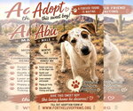 Small Coonhound Mix