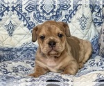 Image preview for Ad Listing. Nickname: Cody