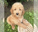 Image preview for Ad Listing. Nickname: Jace