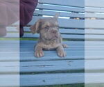 Image preview for Ad Listing. Nickname: Fluffy Male