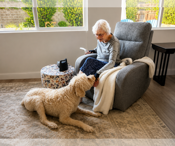 Medium Photo #2 Labradoodle Puppy For Sale in Clovis, CA, USA