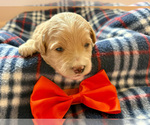 Image preview for Ad Listing. Nickname: Suncrest